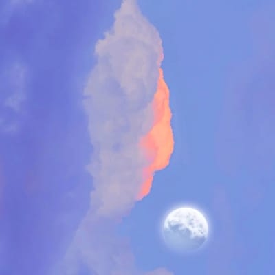 Lê Quang Hải avatar